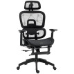 Fauteuil de bureau ergonomique grand confort EVAN noir