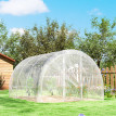 Serre de jardin 9 m² MOUNT transparente