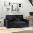Canapé convertible 2 places avec coffre DANY gris foncé