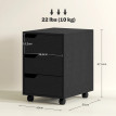 Caisson de bureau mobile LANO noir