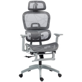 Fauteuil de bureau ergonomique Lurevia confort optimal soutien lombaire appui-tête ajustable maille respirante gris