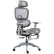 Fauteuil de bureau ergonomique Lurevia confort optimal soutien lombaire appui-tête ajustable maille respirante gris