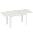 Table Greymantle Extensible 6-8 Places Design Moderne Blanc Robuste