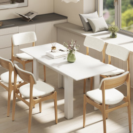 Table Greymantle Extensible 6-8 Places Design Moderne Blanc Robuste