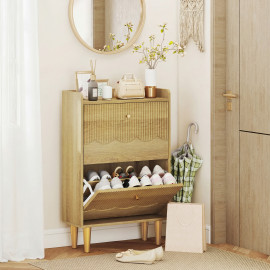 Meuble à Chaussures Pfarrbach Rangement Élégant Entrée Étroit Chêne Doré 60x24x92 cm