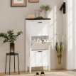 Meuble à Chaussures Delwyn Chic Classique Rangement Élégant Blanc