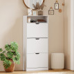 Meuble à Chaussures Siegmar Rangement Entrée Compact Aéré Blanc