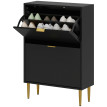 Meuble à Chaussures Waldrada Art Déco Luxe Noir Portes Dorées Rangement Élégant 12 Paires