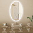 Miroir Notker LED Ovale Anti-Buée Éclairage Réglable 50x80 cm Transparent