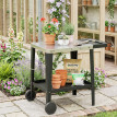 Desserte Rézeval Barbecue Extérieur Mobile Noir Étagère Pliable Acier Inoxydable