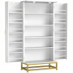 Armoire Sofronia Cuisine Design 2 Portes Effet Claustra Blanc & Doré Élégante