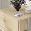 Delreay Table à manger pliante extensible avec rangement blanc bois