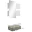 Meuble d'entrée Solrio 2 en 1 miroir mural tiroir gris et blanc