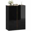 Calot Armoire à chaussures design sans poignées 6 niveaux Noir laqué