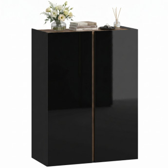 Calot Armoire à chaussures design sans poignées 6 niveaux Noir laqué