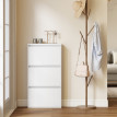Armoire à chaussures Valio métal compacte murale Blanc