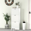 Emian Armoire à chaussures 3 tiroirs compacte blanc