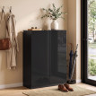 Armoire à chaussures Verys 5 niveaux réglables entrée couloir Noir