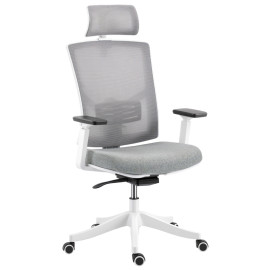 Cameo Chaise de bureau ergonomique respirante soutien lombaire gris