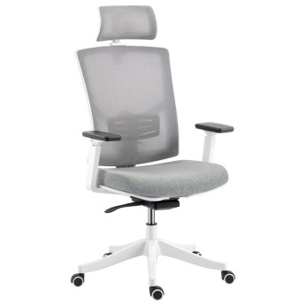 Cameo Chaise de bureau ergonomique respirante soutien lombaire gris