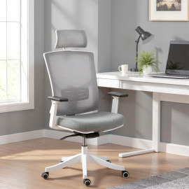 Cameo Chaise de bureau ergonomique respirante soutien lombaire gris