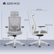 Cameo Chaise de bureau ergonomique respirante soutien lombaire gris