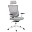 Cameo Chaise de bureau ergonomique respirante soutien lombaire gris