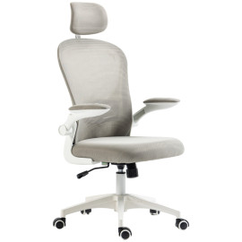 Fauteuil de bureau Ylarven ergonomique réglable support lombaire gris