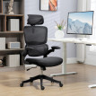 Chaise de Bureau Ylinen Ergonomique Réglable avec Support Lombaire Noir