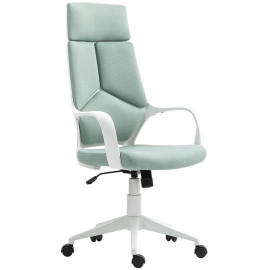 Chaise de Bureau Saleray Ergonomique Pivotante Réglable Vert