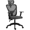 Chaise de Bureau Torio Ergonomique Réglable Soutien Lombaire Grigio