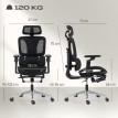 Rivel Fauteuil de bureau ergonomique avec soutien lombaire et appuie tête noir