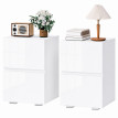 Ylova Lot de 2 Tables de Chevet avec 2 Tiroirs Haute Brillance Blanc
