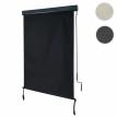Store enrouleur vertical HWC-F42, store extérieur, Protection anti-UV 50 - 250x100 cm, anthracite