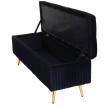 Banc avec espace de rangement HWC-K50 - banc rembourré Coffre de rangement Banc de vestiaire - velours métal 120x40cm - noir