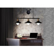 Lampe suspendue HWC-H84, lampe suspendue, avec câble Métal industriel hauteur réglable noir